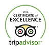 Trip Advisor Logo